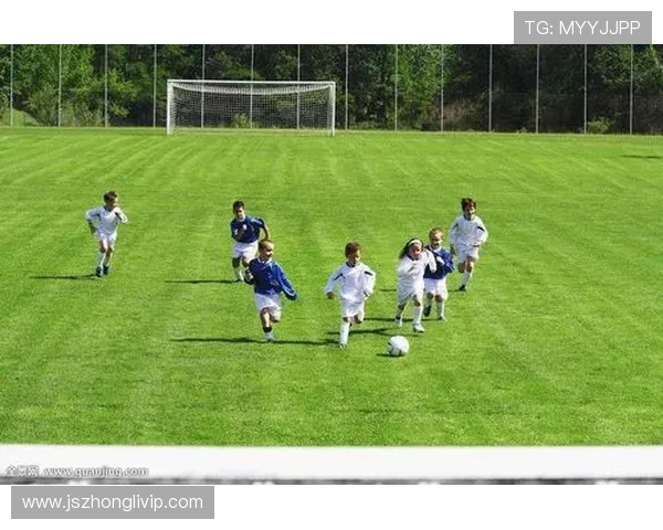 南京足球队现状揭秘：从训练到比赛的全景分析与展望