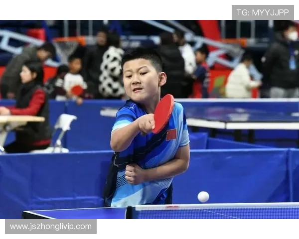 乒乓球技艺的深度探索：西安乒乓球队如何实现中路突破与创新